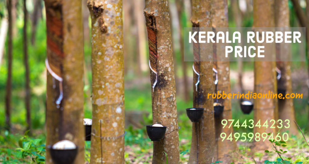 Kerala Rubber Price Rubber India