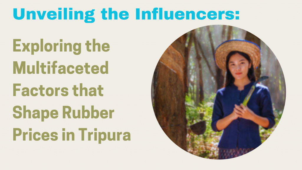 Unveiling the Influencers Exploring the Multifaceted Factors that